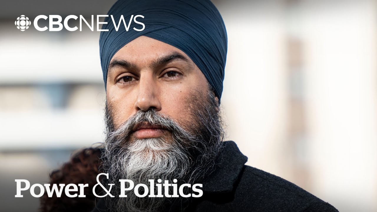 Singh pitches minority government with &lsquo;enough New Democrats to stand up for you&rsquo; | Power & Politics