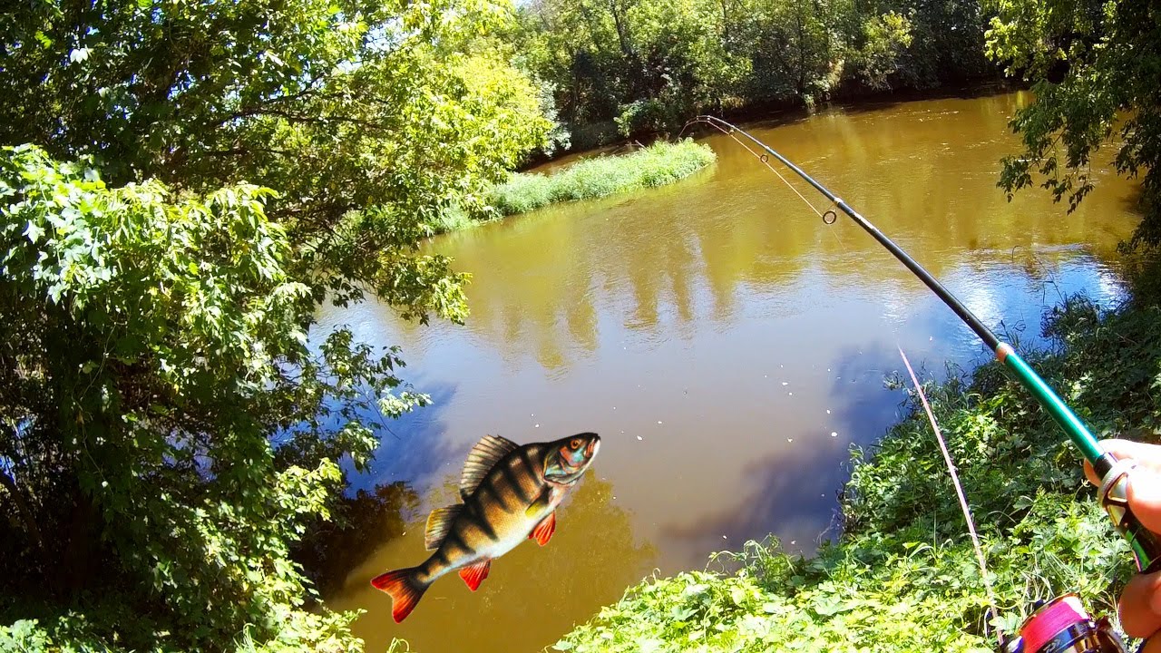 Walking Along the River with a Fishing Rod – Relaxing Nature Therapy
