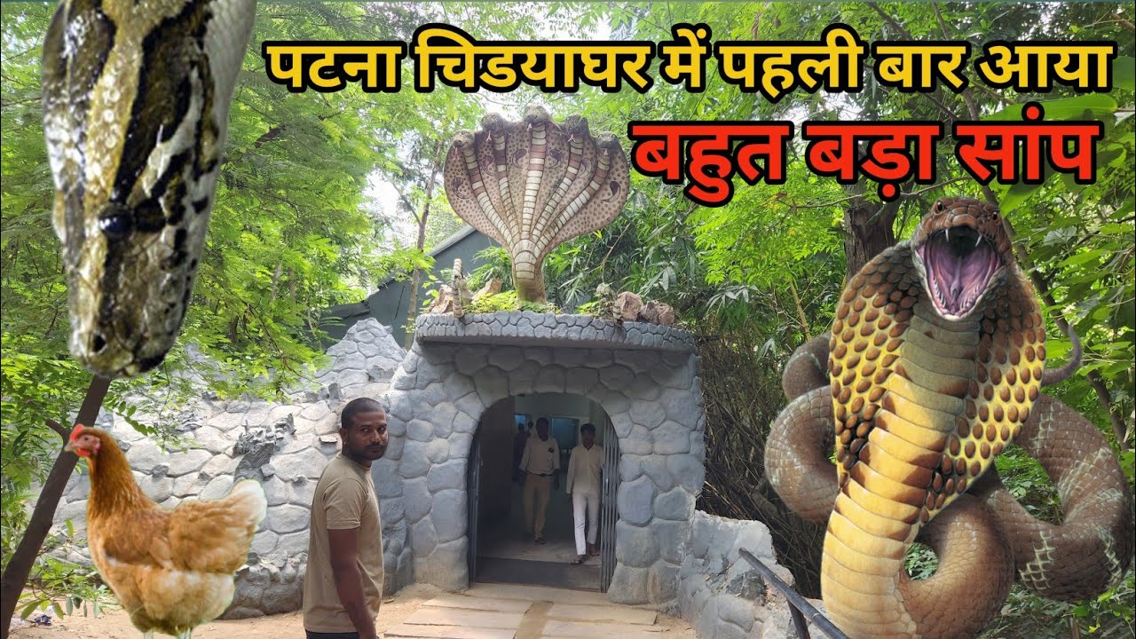 पटना चिड़ियाघर में आया बहुत बड़ा एनाकोंडा सांप 🐍 | Patna Zoo Anaconda 20 | SonuVlogsWorld ✅