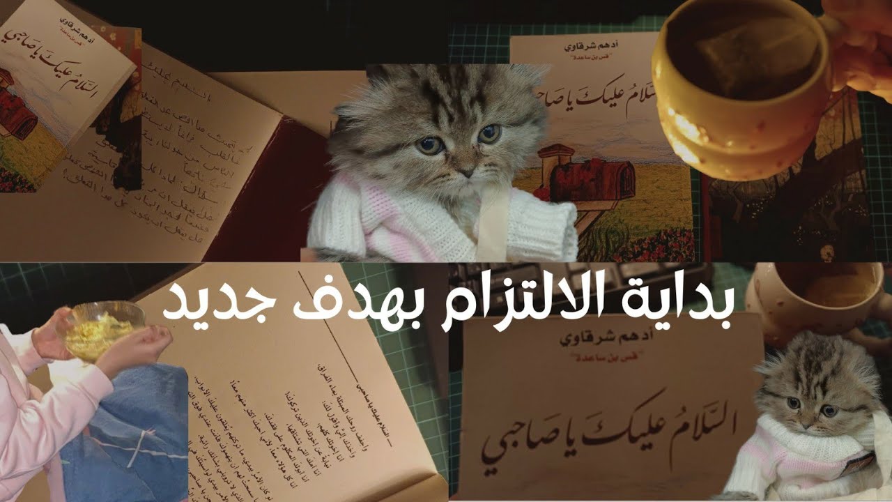 محاولة البدأ بعادة جديدة / ليلة هادئة