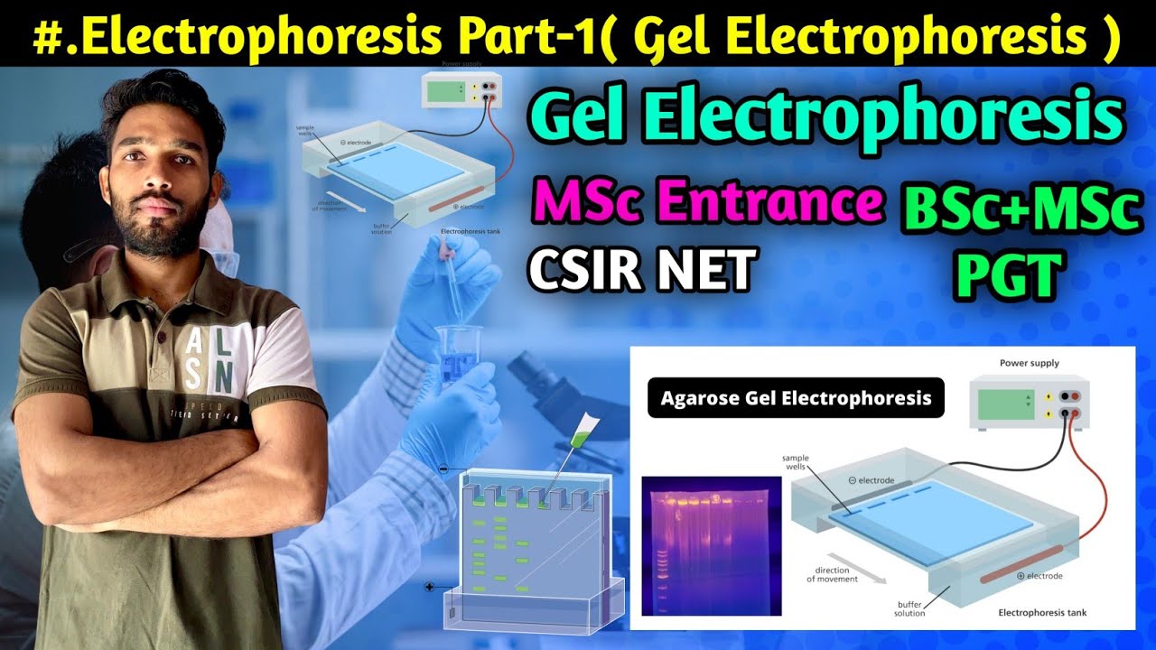 Electrophoresis Technique Part-1 || Gel Electrophoresis || BSc || MSc || CSIR NET || PGT || NEET