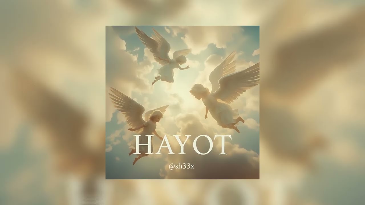 sh33x - charchaganman