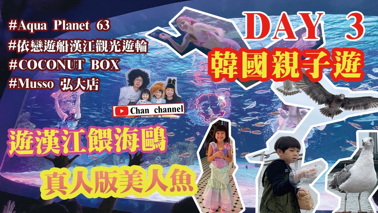 【2023韓國首爾7天親子遊】DAY 3｜首爾轉轉卡Discover Seoul Pass｜63大廈「人魚公主show」｜依戀遊船漢江觀光遊輪餵海鷗｜COCONUTBOX｜Musso弘大店｜韓式自拍館