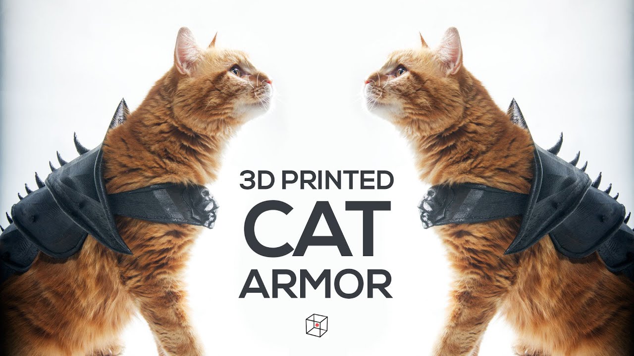 3D Printing - Cat Armor