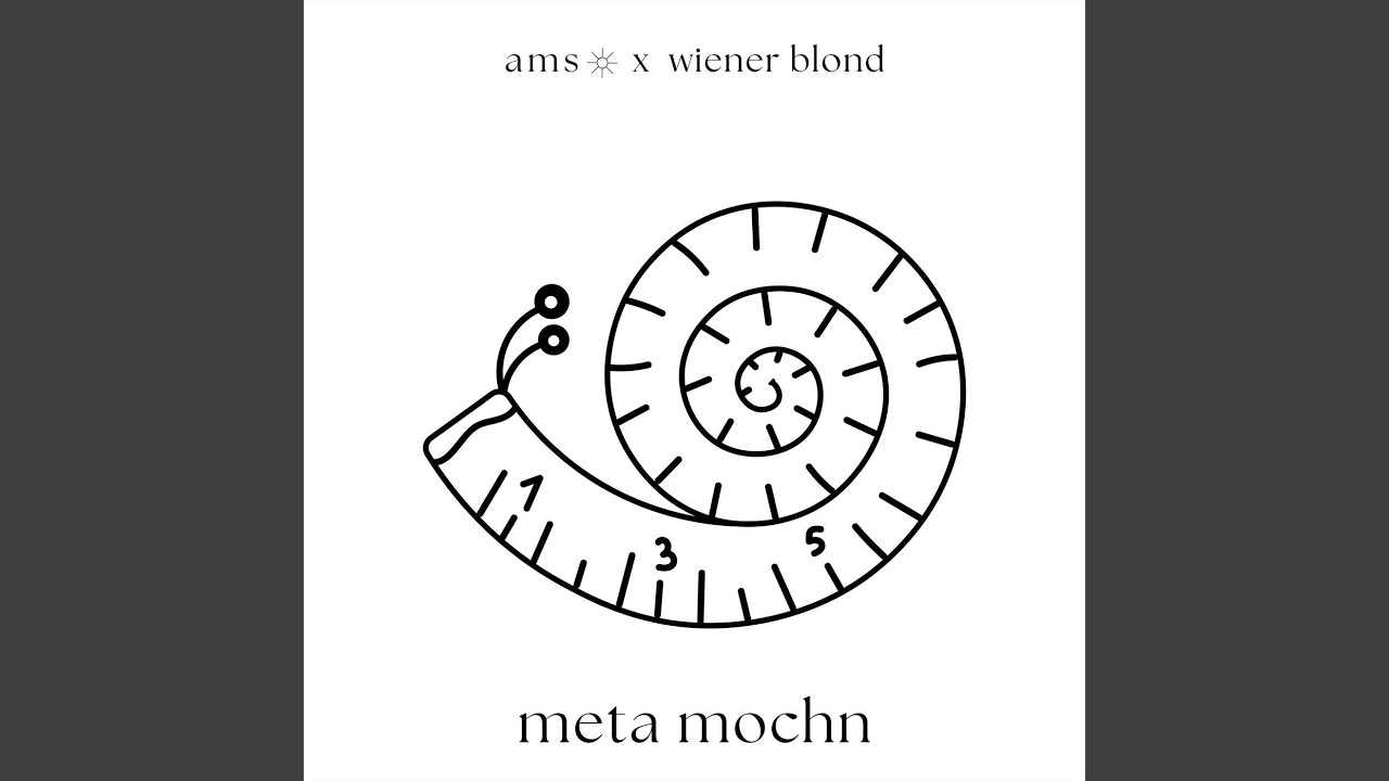 meta mochn