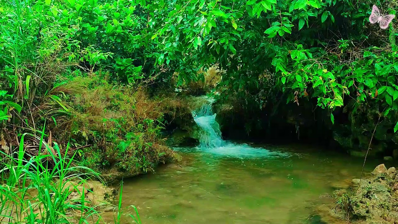 Calming Music for Anxiety and Stress 🌿 Sleep Better, Heal Mind, Relaxing Meditation Sounds 4