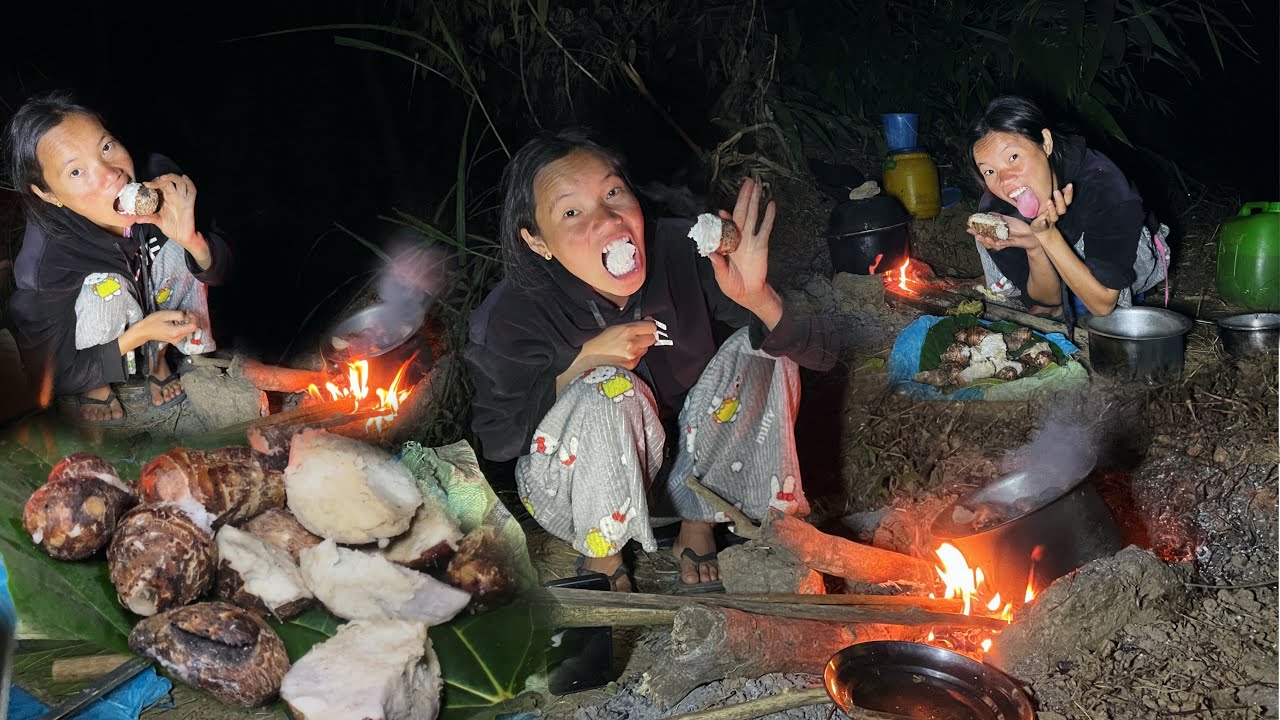 Wild Potato Searching in Forest ! Cooking And Eating ! Night Survival Challange ! 