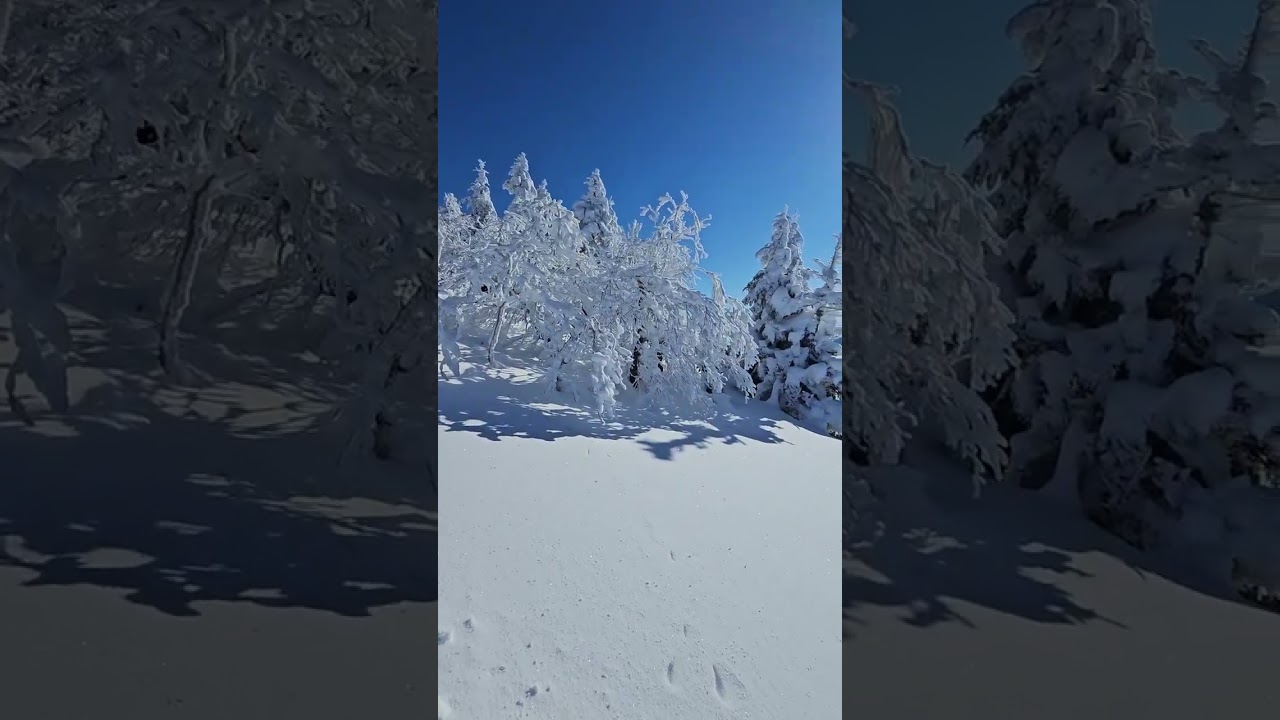 20251228四阿山その1