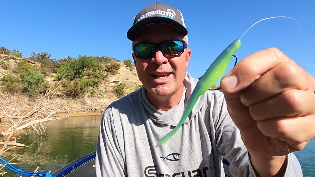 Crash Course on Soft Jerkbaits