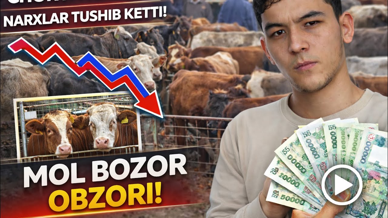 🤯Narxlar tushib ketti | Qorg’ontepa mol-qo’y bozori 22-Fevral
