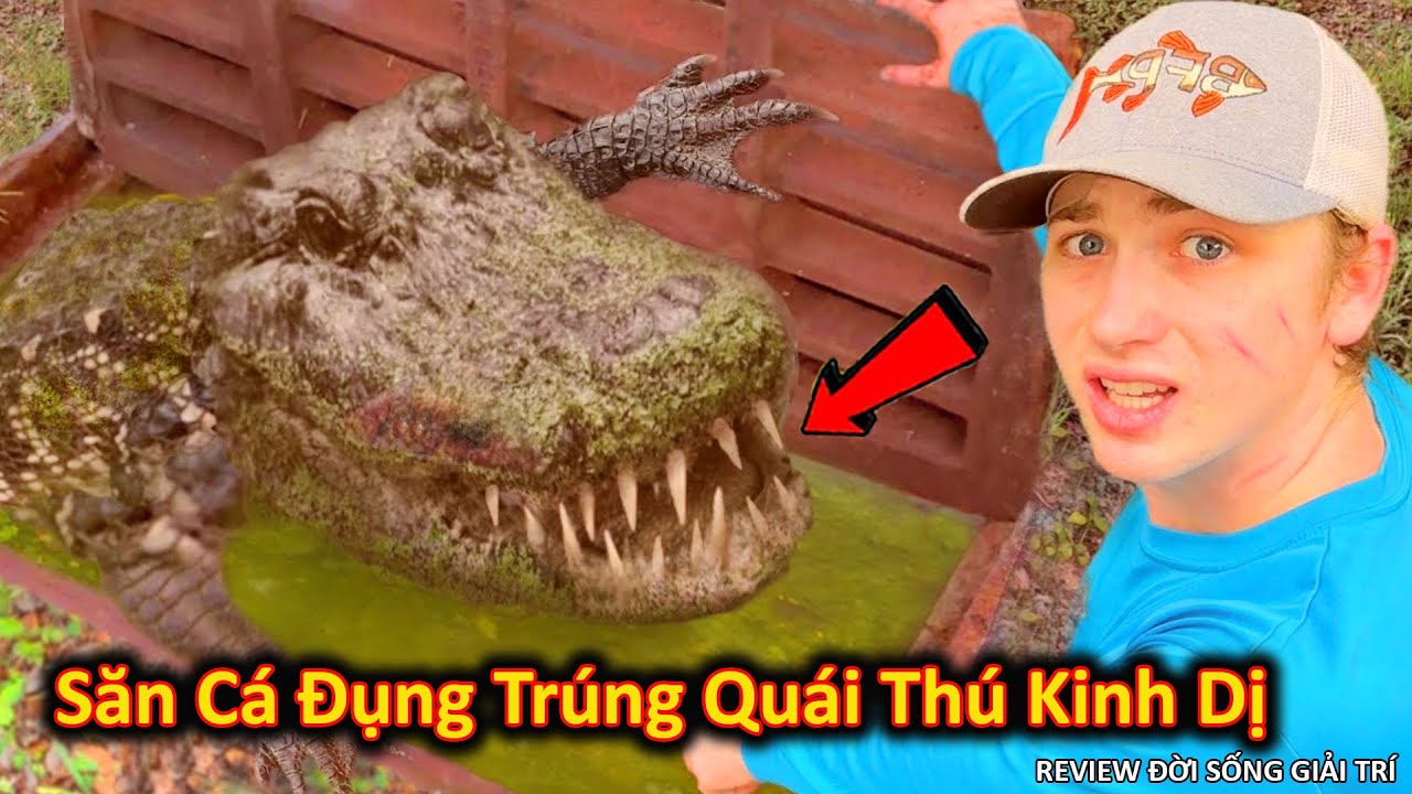 Những Lần Đụng Độ Quái Thú Trong Chuyến Săn Cá Triệu Đô Đầy Giá Trị || Review Giải Trí