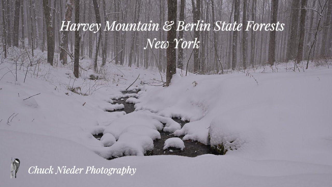 Harvey Mountain & Berlin State Forests