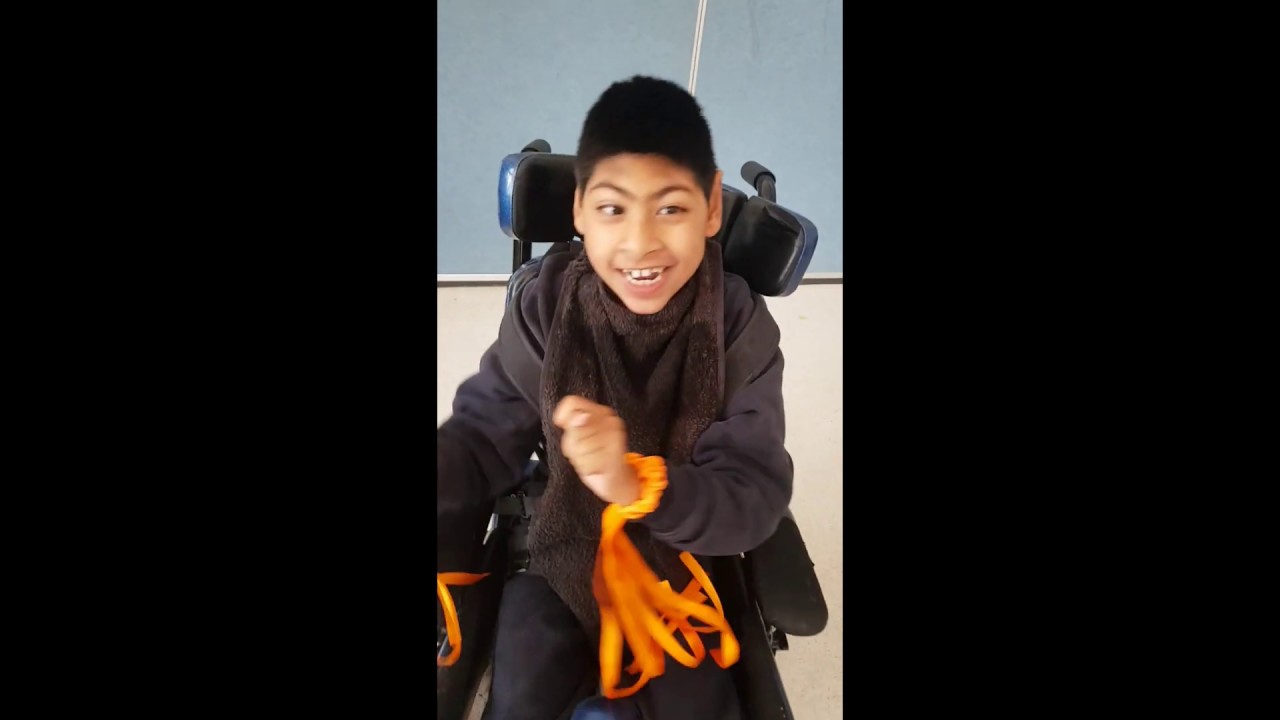 wangee park school spectacular audition 2019