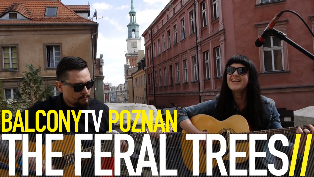 THE FERAL TREES - OLD GROWTH (BalconyTV)