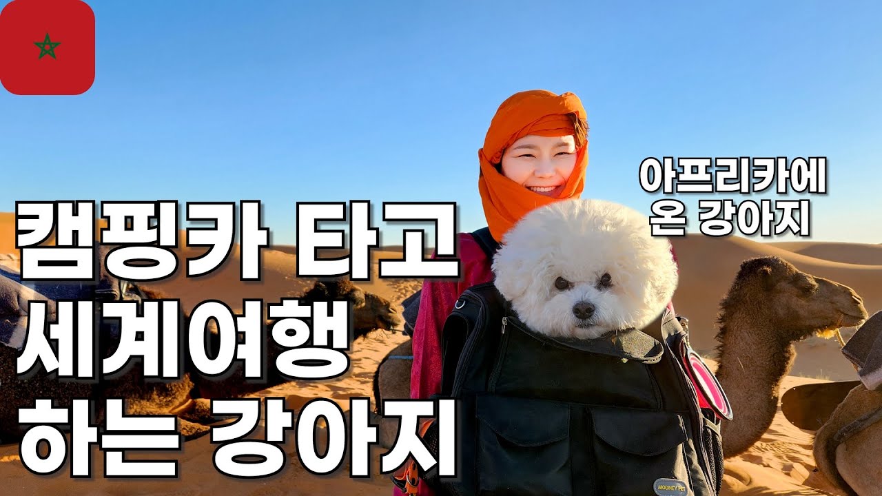한국에서 출발한 캠핑카에서 🐶강아지와 먹고자며 아프리카 까지 온 부부🚎캠핑카로 세계여행 하는 부부 유라시아 횡단 몰아보기 9탄📺 [모로코]