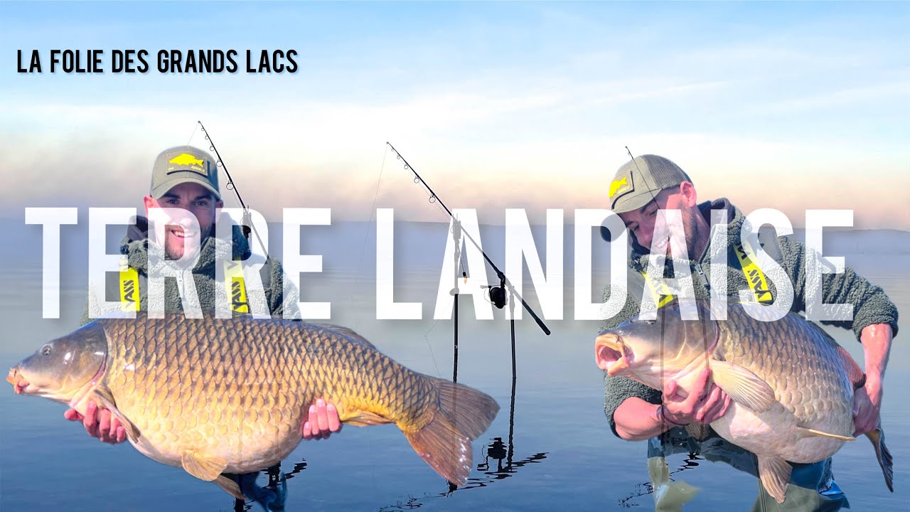 Carpe record sur un géant landais [4K]
