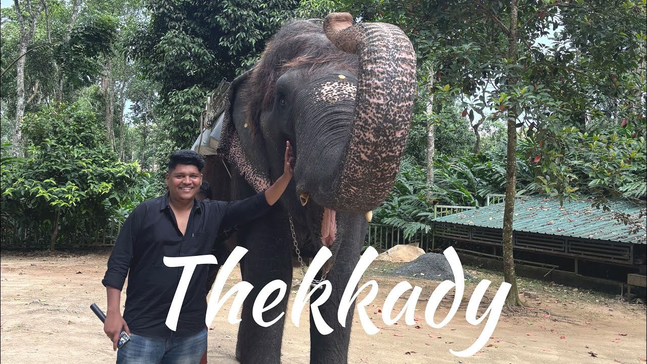 Kerala | Thekkady Tourist Places | Things to do in Thekkady #kerala #keralatourism #thekkady 