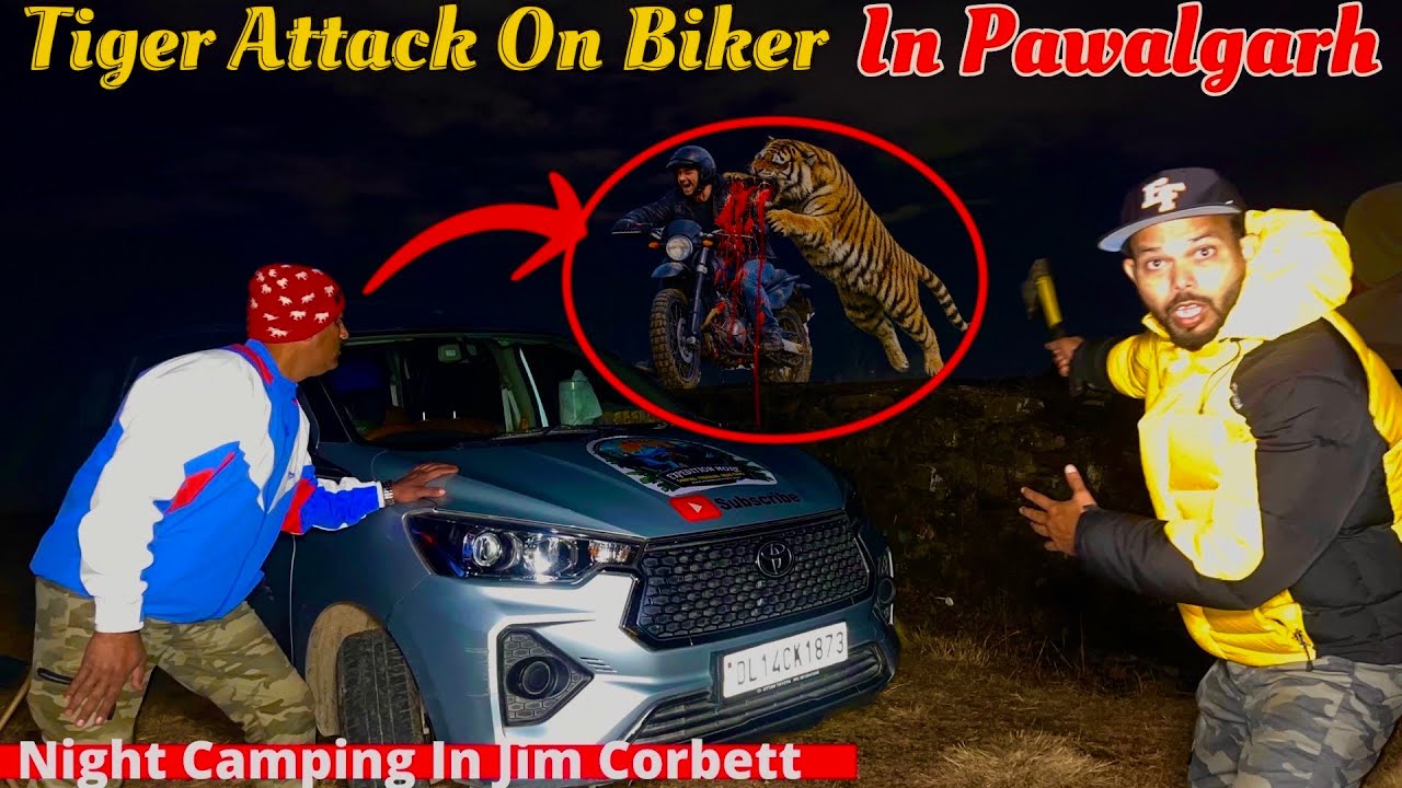 TIGER 🐯 ATTACK ‼️On Bikers in Pawalgarh Forest Range | Overnight Camping in Tiger Territory 