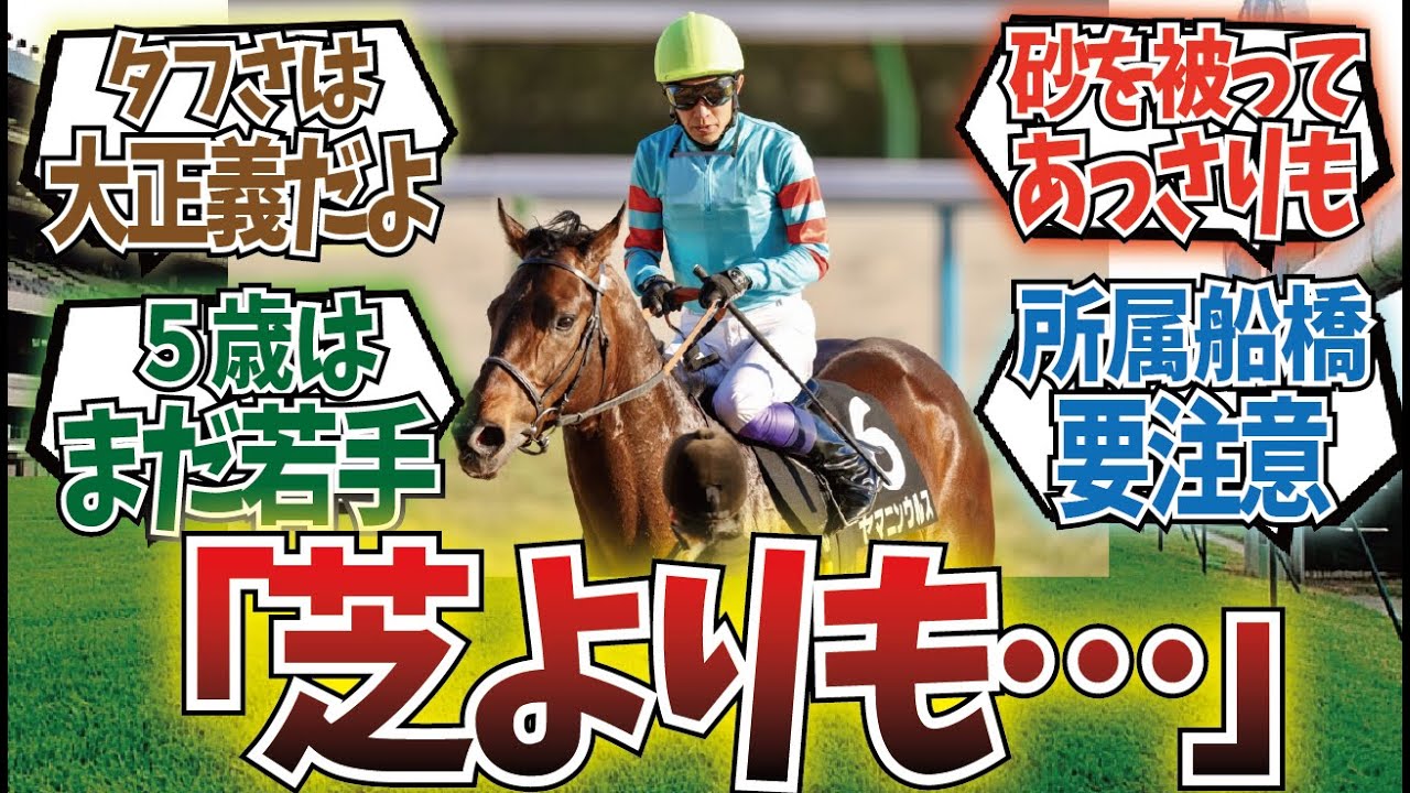 「ダートを見続けて分かったこと」に対するみんなの反応集
