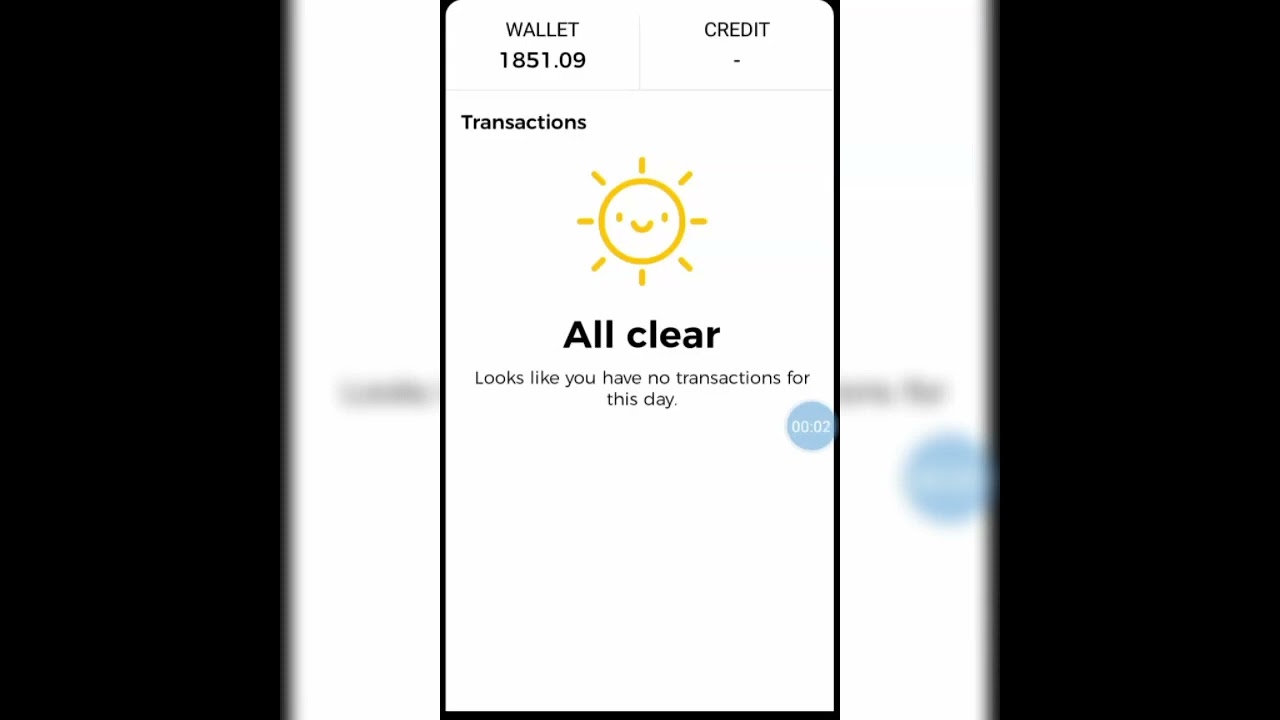 How to check agent wallet