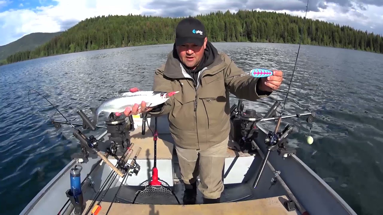 Sulphurous Lake, BC  - Kokanee and Lake Trout