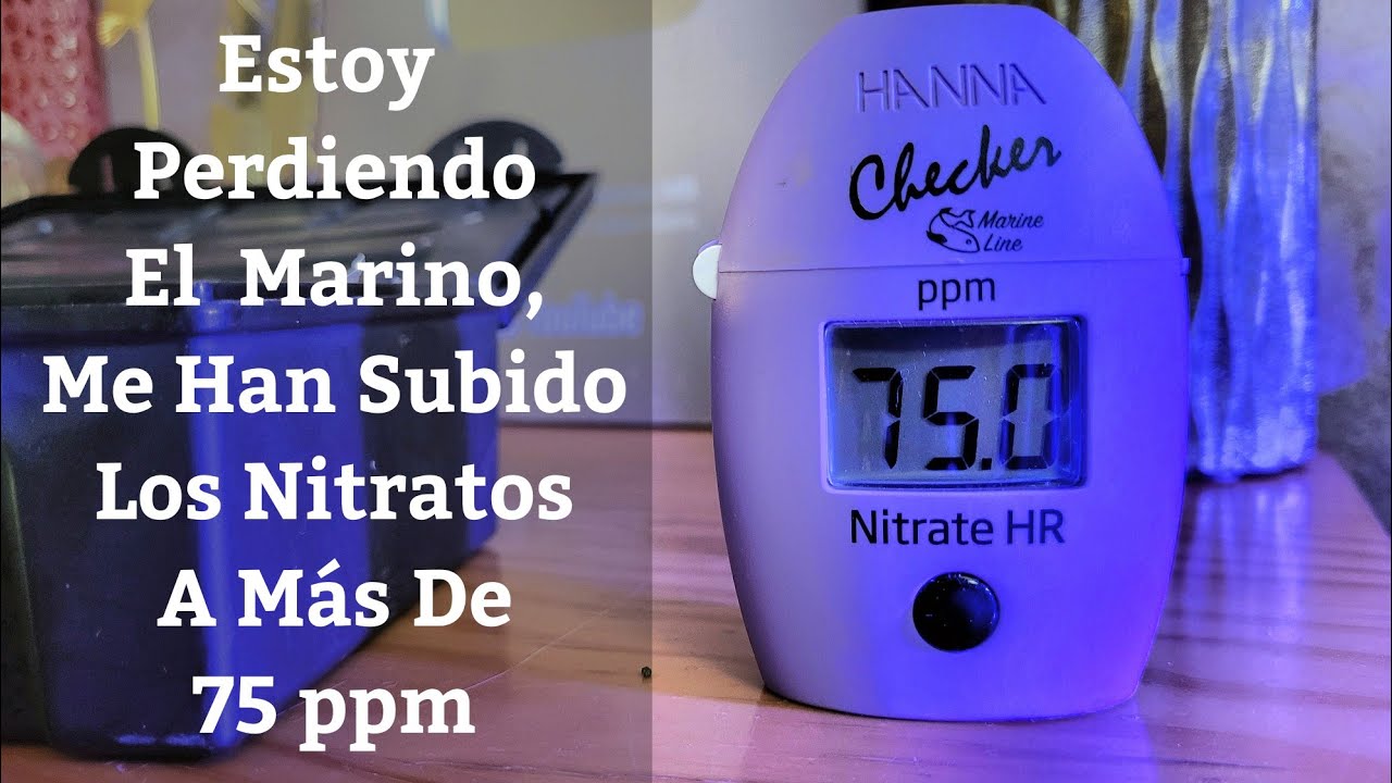 🔵 Estoy Perdiendo El Acuario Marino,Se Me Han Subido Los Nitratos A Más De 75 ppm (Acuarios MB)
