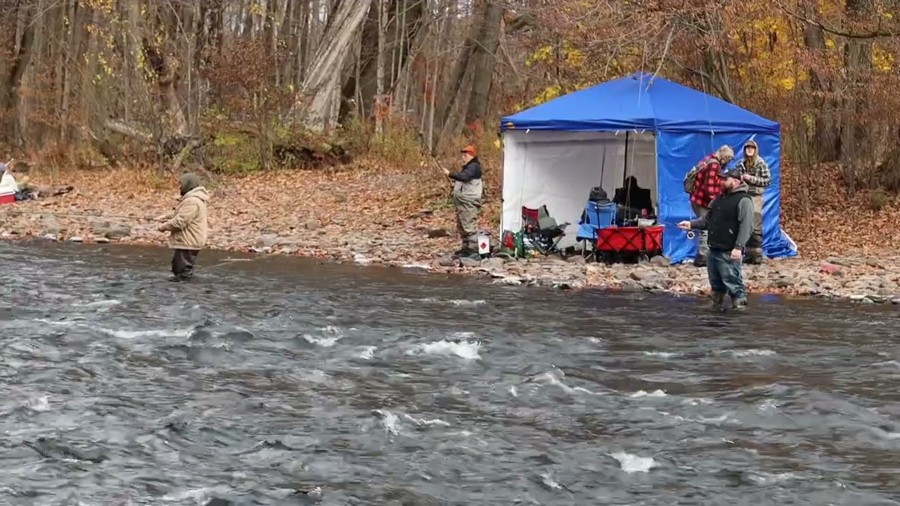Steelhead fishing start at Salmon River ,Altmar,NY_ November 02-2024