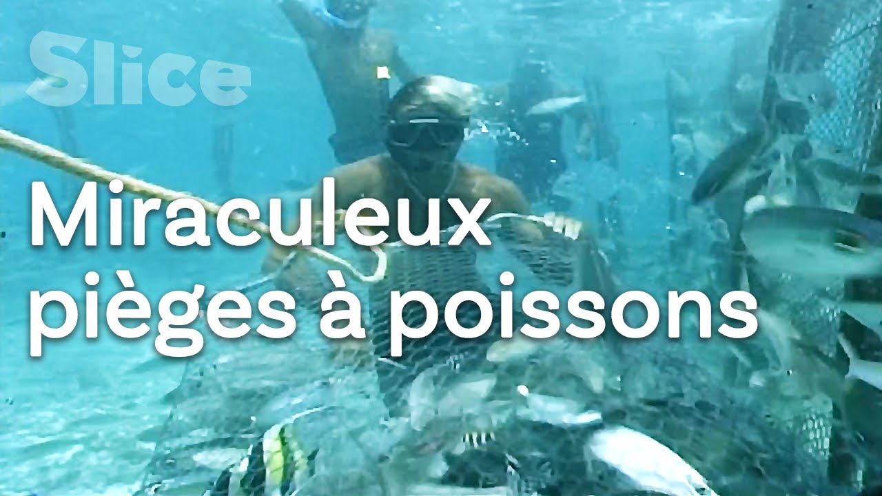 Pêche polynésienne : de l’océan au marché de Papeete | SLICE