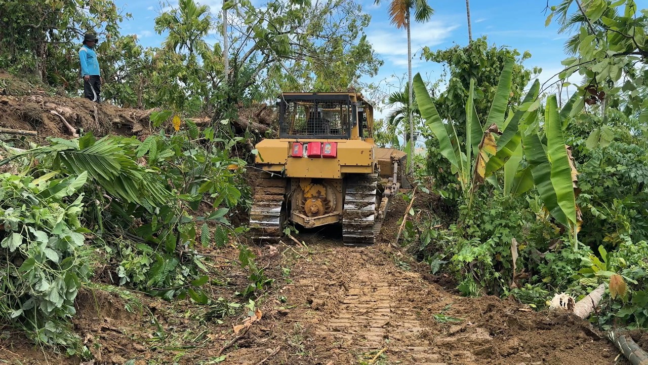 Optimizing Oil Palm Terraces with D6R XL Bulldozer Technology