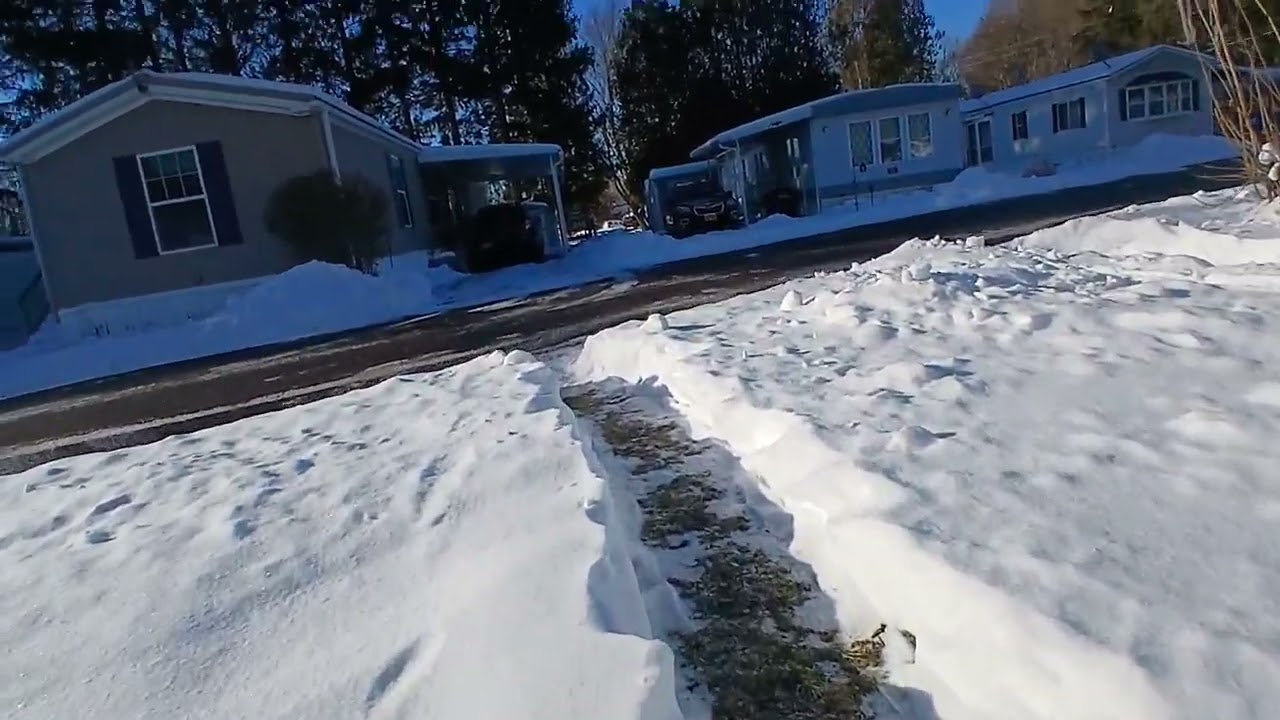 Me having a zebra cake for breakfast and goody