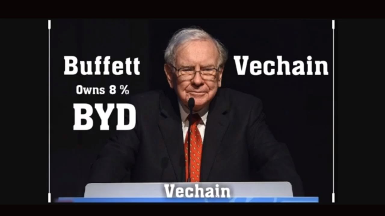 Vechain Partners BYD. Warren Buffett's Berkshire Hathaway owns an 8% stake in BYD. Vechain #1 2020