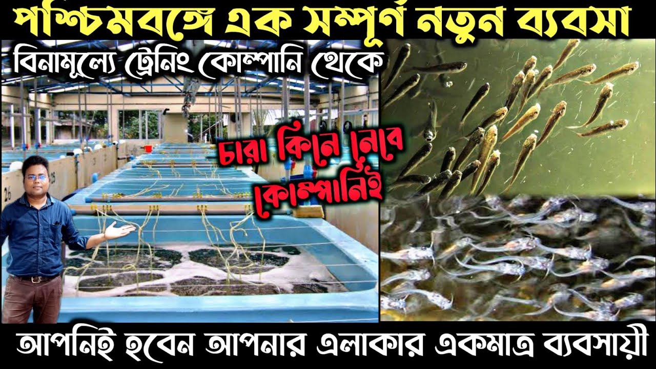 কম পুঁজিতে জিওল মাছের চারা তৈরি করে ব্যবসা করুন/fish farming business idea/farming