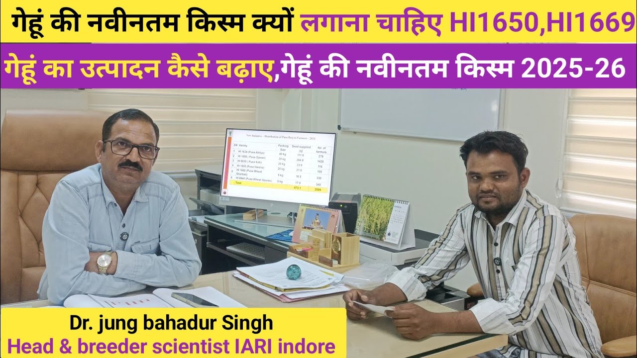 गेहूं की न्यू वैरायटी 2026 | hi1669 wheat | hi1650 wheat | hi1674 wheat | hi8830 | IARI Indore
