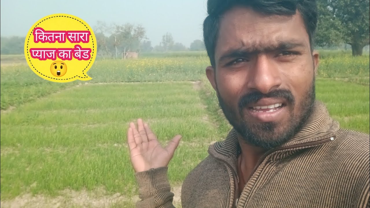 इतनी सारी प्याज की बेड पहली बार देखा 😲 || village life vlogs || Lalit Up vlogs ||