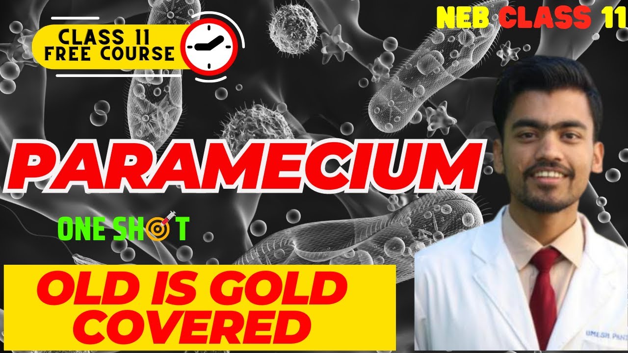 Paramecium and its Reproduction In One Shot🔥| Grade 11 Biology in Nepali | Zoology Important Chapter