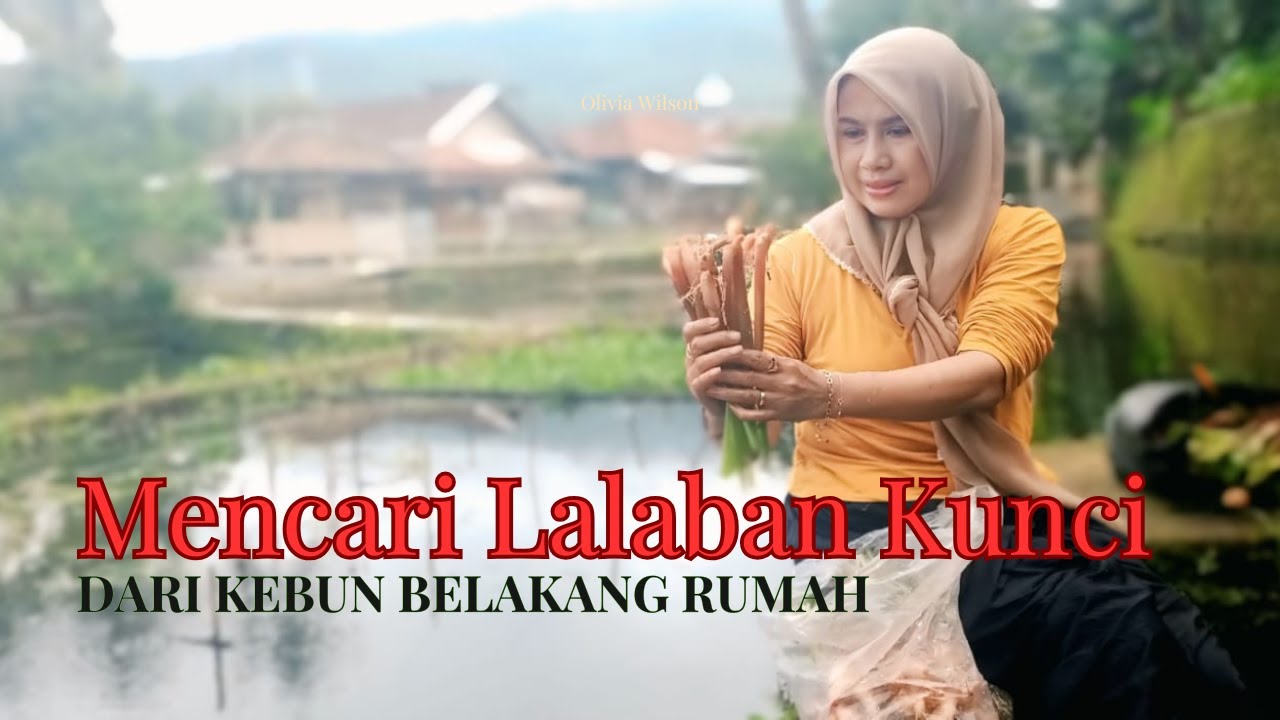 VIRAL !! LAGU  