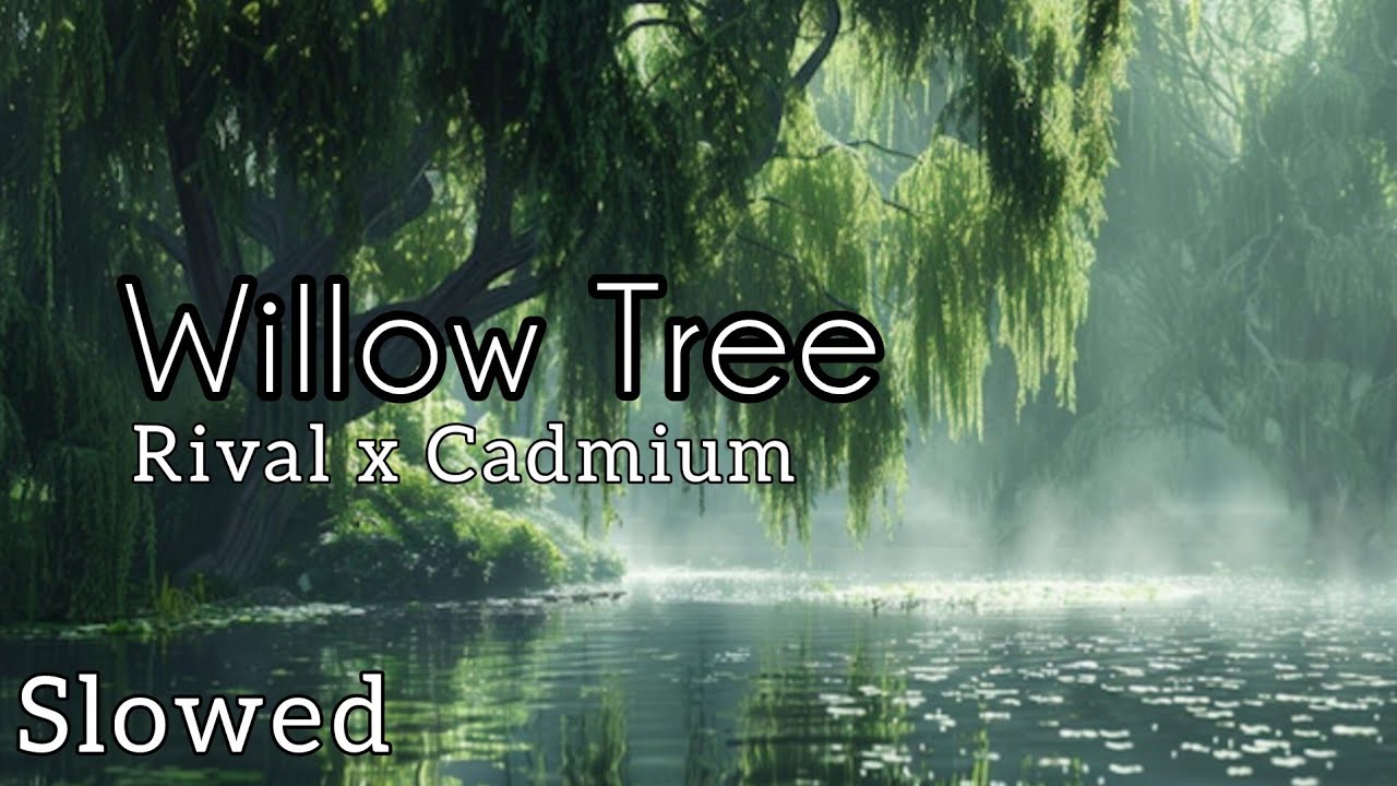 WILLOW TREE - Rival x Cadmium (Slowed)