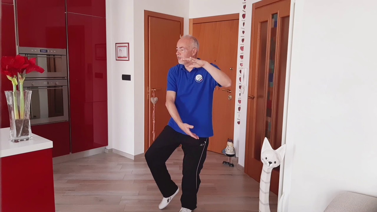 Taiji Quan Forma 8 AFFERRARE LA CODA DEL PASSERO