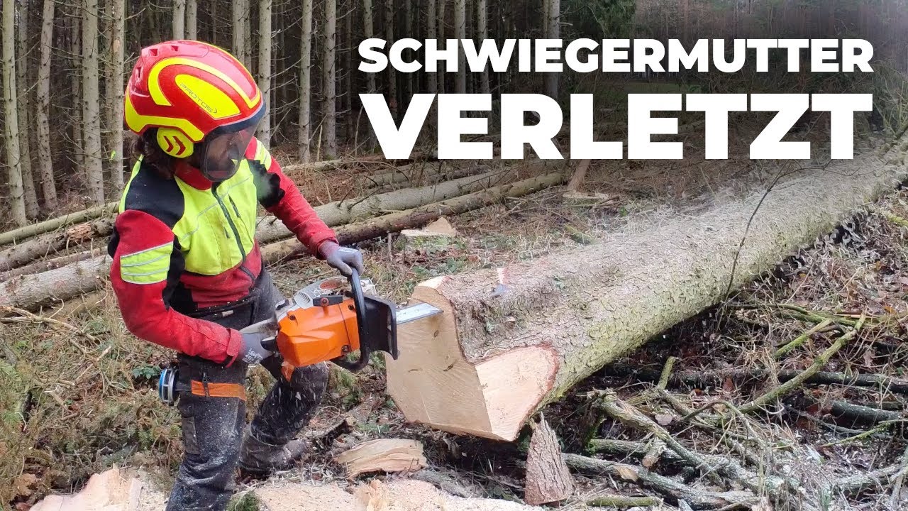 Nur noch allein im Wald: Bäume fällen und Holzrücken