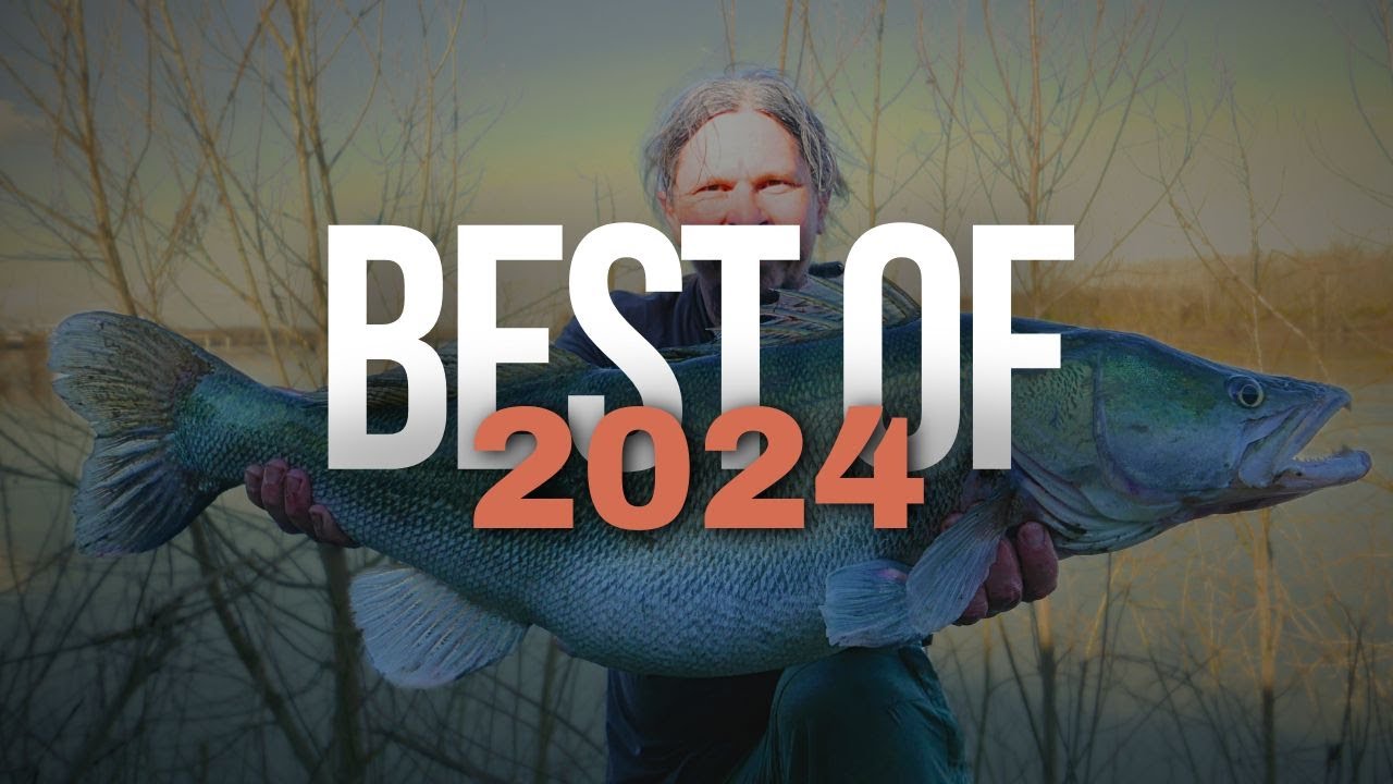Some of the Weirdest Year of Fishing - Best of 2024