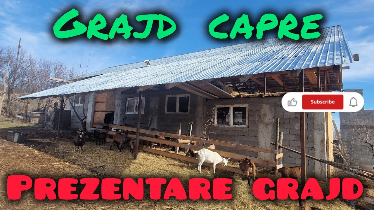 Grajd capre / Prezentare grajd