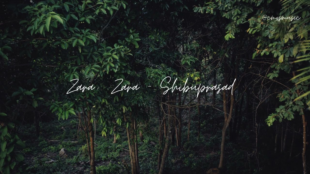 Zara Zara – Bin Kahe Pyaar Ki Kahaani  | Shiba × Bhai Beats