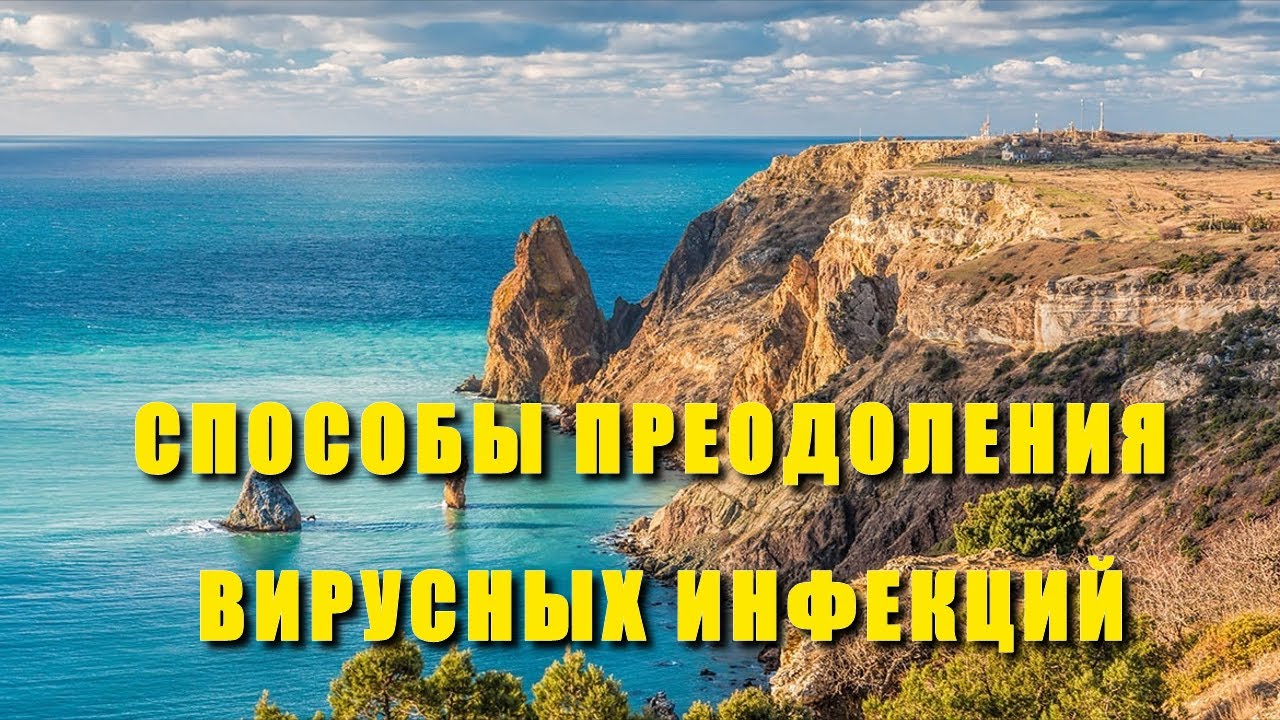 Способы преодоления вирусных инфекций. Алексей Куяшов