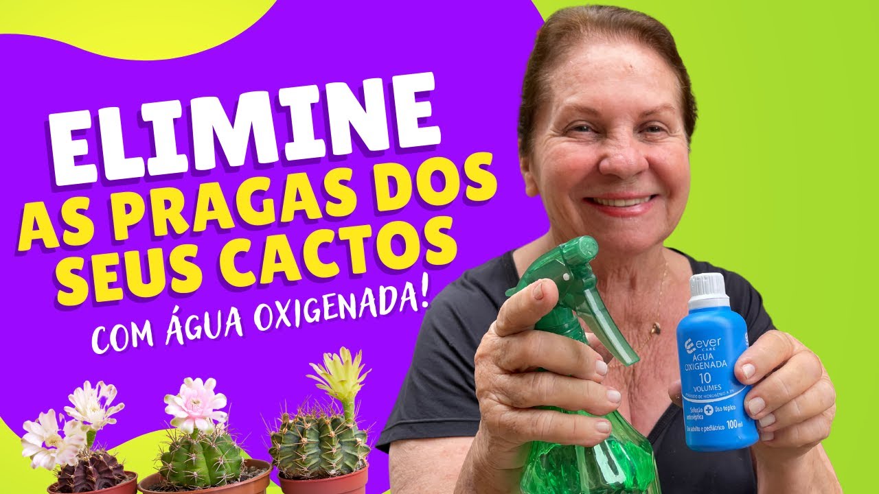 Como Combater Pragas e Fungos dos Cactos! Vem aprender!