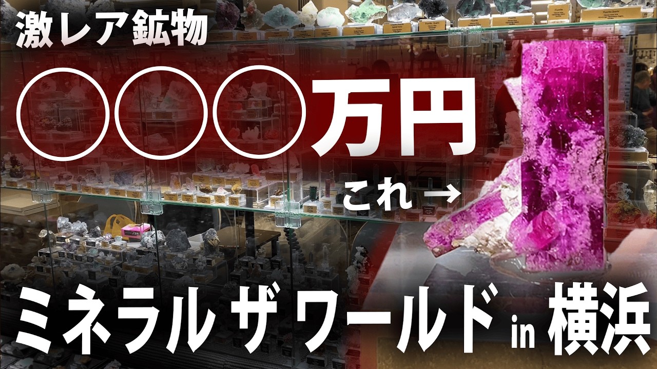 ミネラルザワールドin横浜で見つけた激レア鉱物標本たち！鉱物コレクター目線で徹底解説！！！