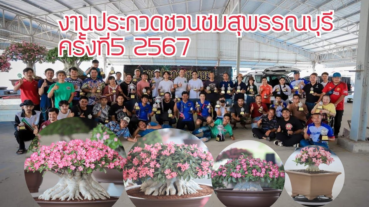 งานประกวดชวนชมสุพรรณบุรีครั้งที่5 2567