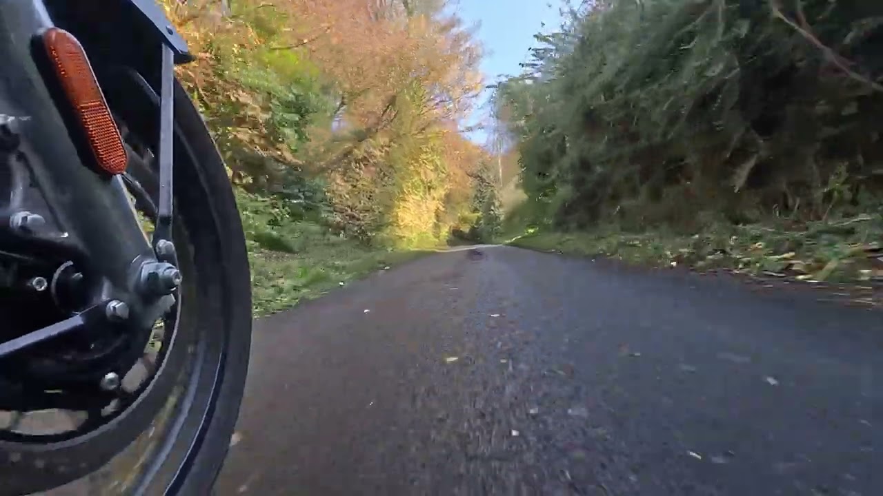 Royal Enfield Classic 350, autumn ride