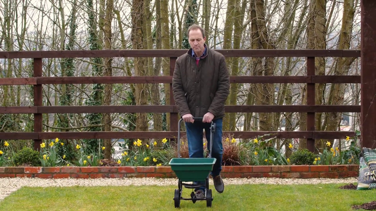 Treating Your Lawn from Moss Growth  | Peter Dowdall