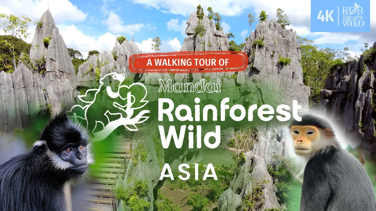 Singapore's Mandai Rainforest Wild Asia | Trekking and close encounters with animals
