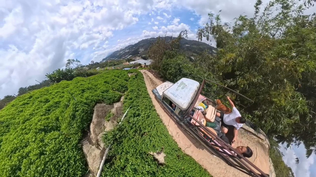 Mint Farm Cameron Highland day 3